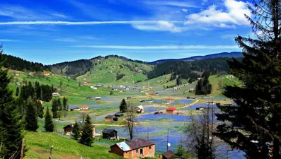 Pandemide evde kalan doğa tatiline yöneliyor