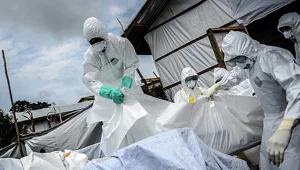 Ebola aşısında yüzde 100 başarı Ebola aşısında yüzde 100 başarı