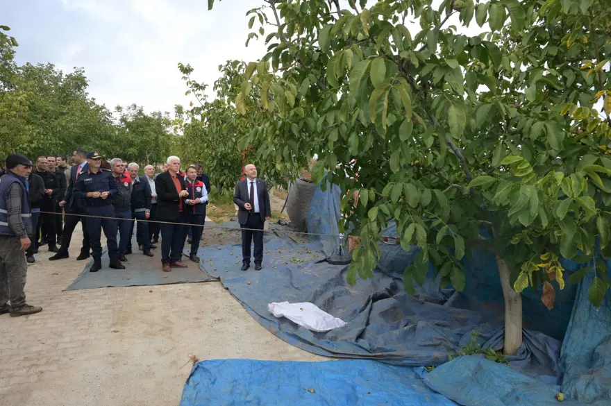 13 bin 225 hektar alanda yetişti: İlk hasat start aldı 1 13 bin 225 hektar alanda yetişti: İlk hasat start aldı 1