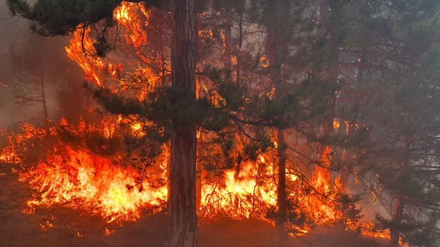 Alevler köyü sardı, sabah 04.00’te can havliyle kaçtılar: “Resmencehennemi yaşadık, mucize eseri kurtulduk” 1