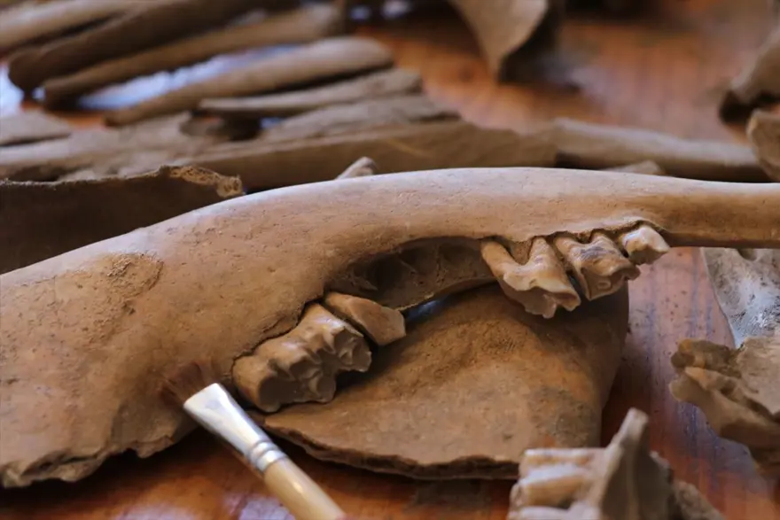 Tatarlı Höyük'te Orta Demir Çağ'a ait depolama alanı bulundu 16 Tatarlı Höyük'te Orta Demir Çağ'a ait depolama alanı bulundu 16