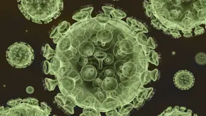 Nijerya'da Lassa ateşi salgını: Can kaybı 40'a yükseldi