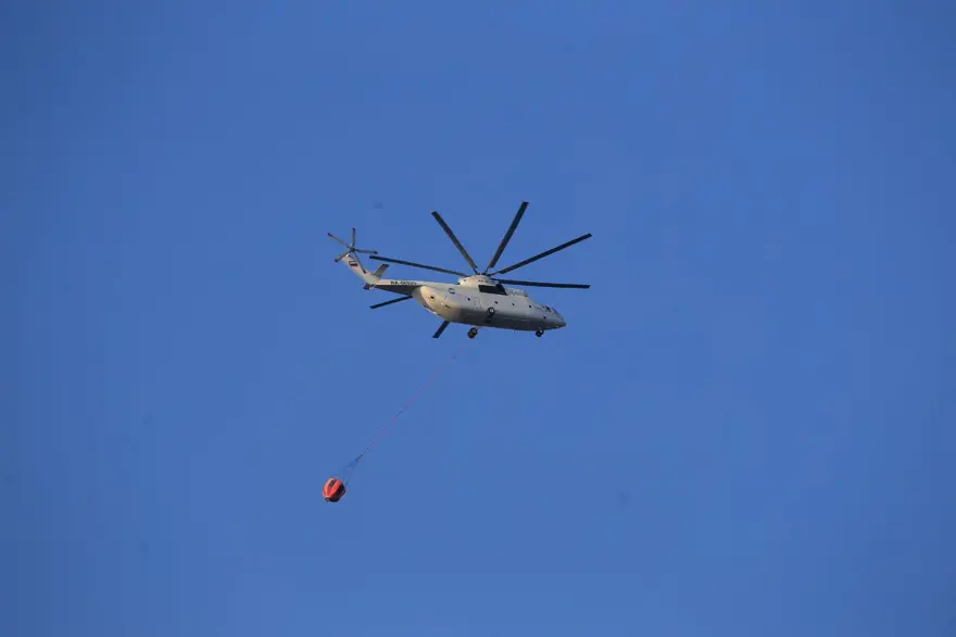 Cumhurbaşkanı Erdoğan: Marmaris'teki orman yangını büyük oranda kontrol altında 60