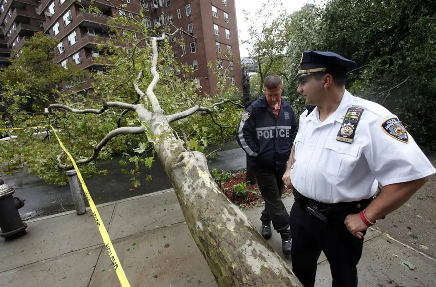 New York yara sarıyor 82 New York yara sarıyor 82