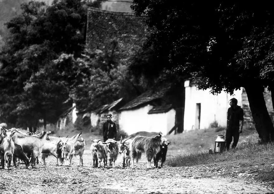 Aurel Paduraru, Kont Drakula, Transilvanya, Romen halkı, Osmanlı İmparatorluğu, Transilvanya fotoğrafları 16