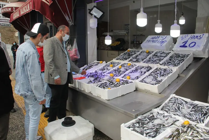 Hamsininkilosu 10 liraya düştü 5