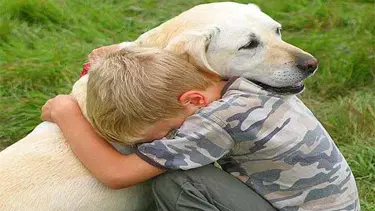 Köpekler neden dost canlısı? (Williams-Beuren Sendromu nedir?)