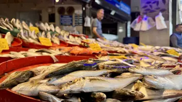 Trabzon'da balıkçı tezgahları doldu