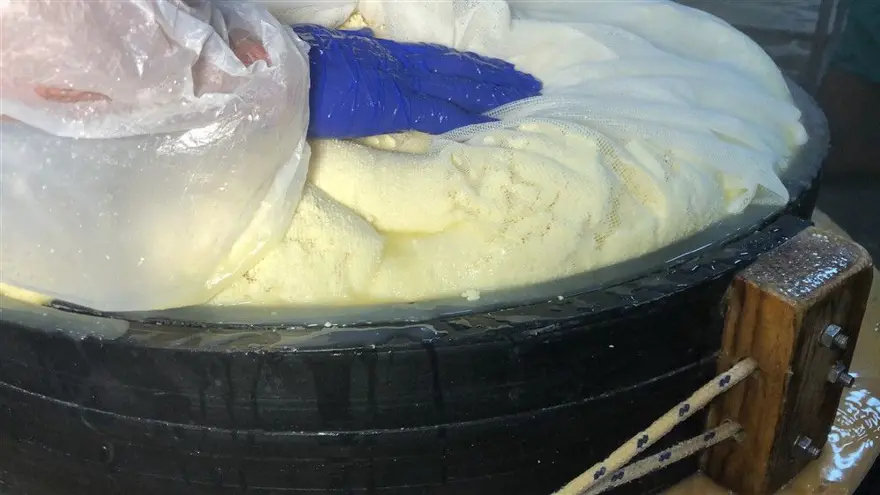 Kars'ta dünyaca ünlü gravyer peynirinin üretimine başlandı 15