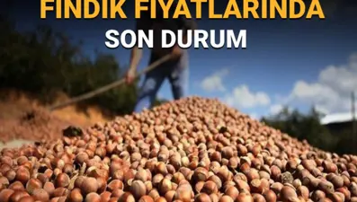 TMO fındık fiyatları açıklandı mı? Fındık alım fiyatlarında son durum