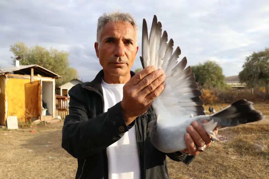 Değeri yarım milyondan fazla: Yurt dışından bile talep görüyor 3