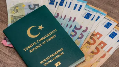 Yeşil ve gri pasaporta vize uygulanacak mı? AB'den Türkiye açıklaması