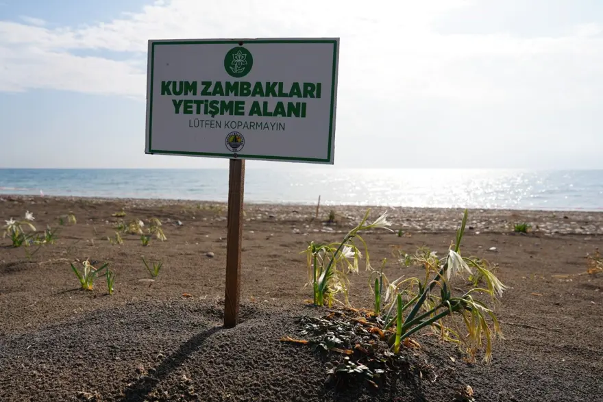 Cezası 2 milyon 800 bin TL'ye kadar çıkıyor: Koruma altına alındı 1