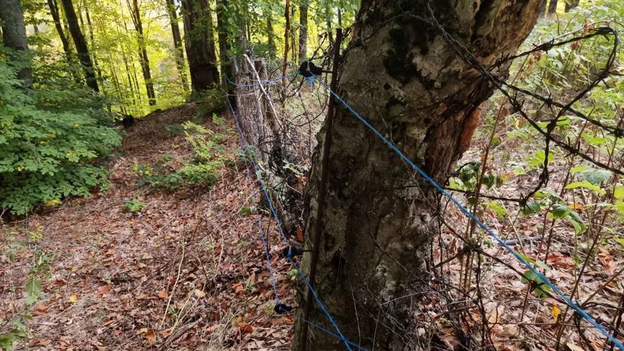 "3 YILLIK EMEĞİM BOŞA GİTTİ" 4