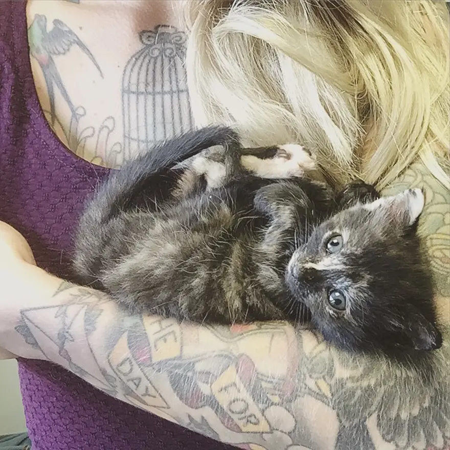 Hayatını kedileri kurtarmaya adadı 239