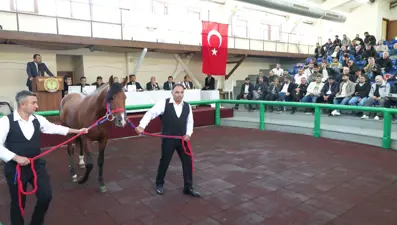 Hızlı Yasin'den tüm zamanların rekoru! Tam 10 milyon 500 bin lira