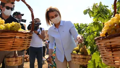 49. Uluslararası Ürgüp Bağ Bozumu ve Balon Festivali üzüm hasadı ile sona erdi