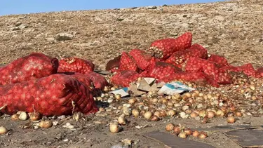 Boş araziye tonlarca soğan döküldü