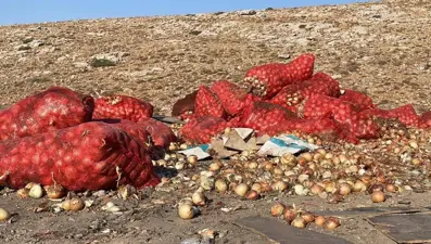 Boş araziye tonlarca soğan döküldü