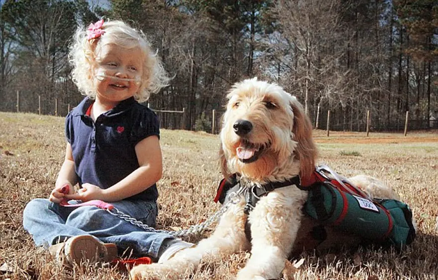 Çocuğun oksijeni köpeğin sırtında Çocuğun oksijeni köpeğin sırtında