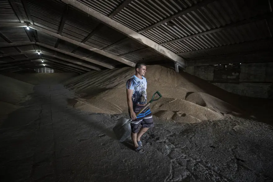 Tahıl gemilerinin limanlardan çıkışını bekleyen Ukraynalı çiftçilerden Türkiye'ye teşekkür 