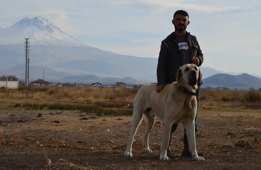 'Aksaray malaklısı' almak isteyenlere, 6 ay sonrası için gün veriliyor 11 'Aksaray malaklısı' almak isteyenlere, 6 ay sonrası için gün veriliyor 11