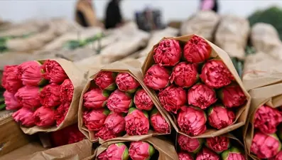 Sevgililer Günü tarifesi: Bir demet gül 2 bin lira