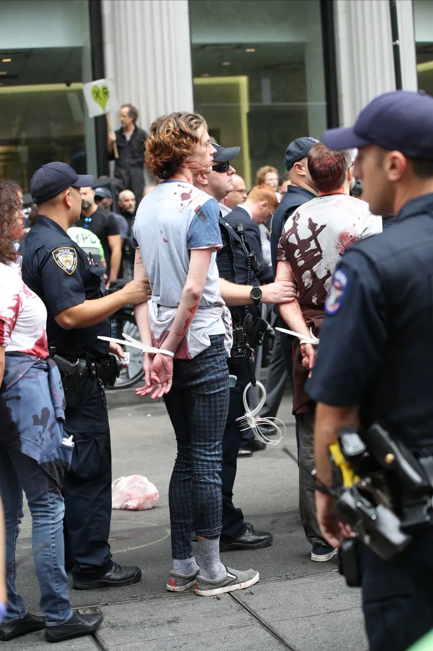 New York'ta iklim değişikliği protestosu: 85 gözaltı 18