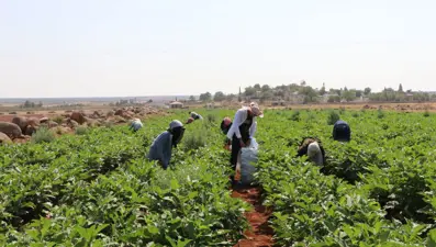 "Zabaran" hasadı başladı: Köyün eski isminden geliyor