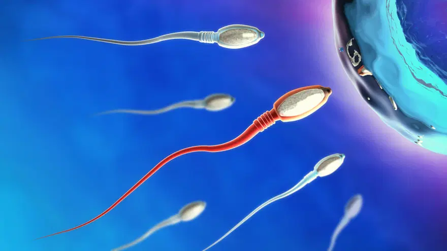 SPERM DETOKSU İLE EN İYİ SPERM SEÇİLİYOR 7 SPERM DETOKSU İLE EN İYİ SPERM SEÇİLİYOR 7