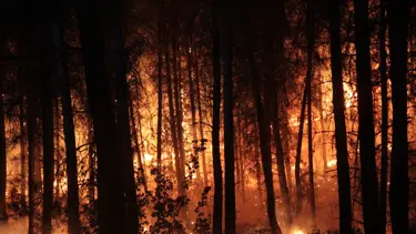 Meteoroloji ve valilikten peş peşe uyarı! Sıcaklıklar artmaya devam edecek