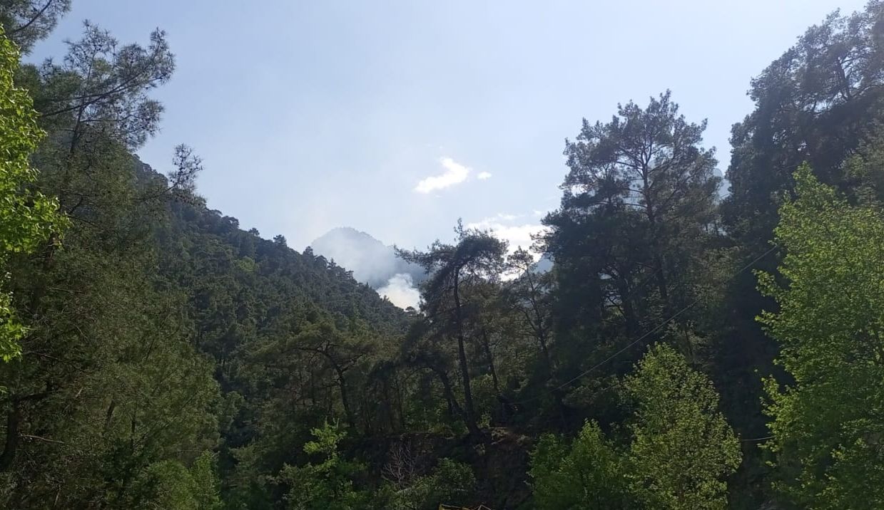 Antalya'da orman yangını kontrol altına alındı