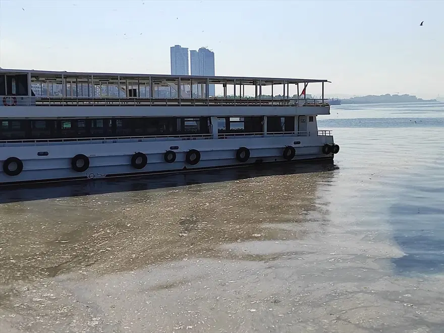 İstanbul'un bazı sahillerinde müsilaj yoğunluğu azaldı 5