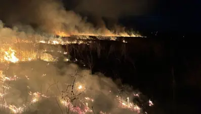 Susurluk'ta otluk alan alev alev yandı