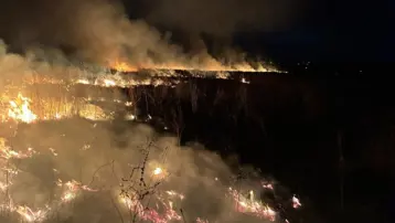 Susurluk'ta otluk alan alev alev yandı