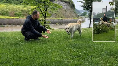Bankada unutulmuş: Hırsız sandılar "Beyaz" çıktı
