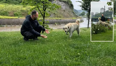 Bankada unutulmuş: Hırsız sandılar "Beyaz" çıktı