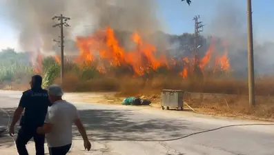 Antalya'da sazlık yangını: Vatandaşlar yangın tüpleriyle müdahale etti