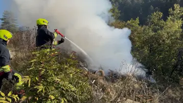 Ormanlık alanda çöp yangını