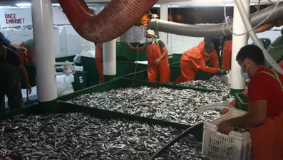 Balıkçılıkta av sezonu sona eriyor