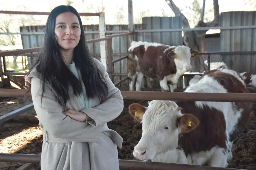 "BESİCİLİĞE DÖNMEYİ DÜŞÜNÜYORUZ" 1