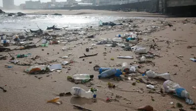 Dünyanın geleceği için dönüm noktası: Plastikleri düşük sıcaklıkta parçalayabilen mikroorganizmalar keşfedildi