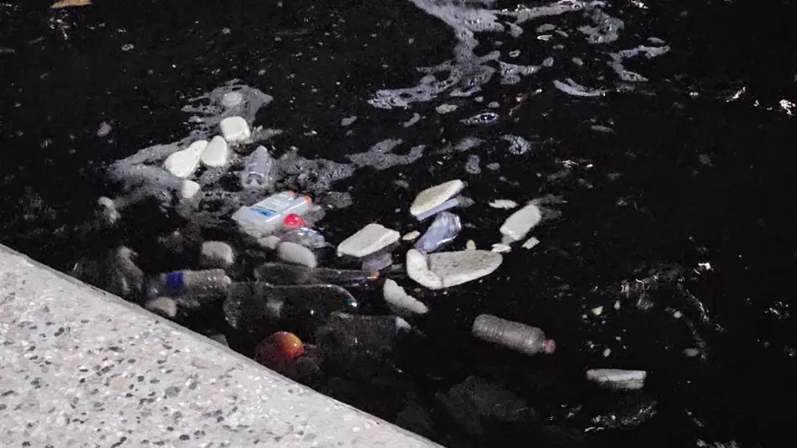 Lodos sonrası ortaya çıktı: Çöp yığınları şoke etti 2