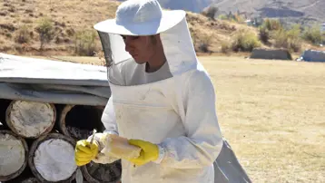 Yaylalarda üretilen karakovan balının hasadına başlandı
