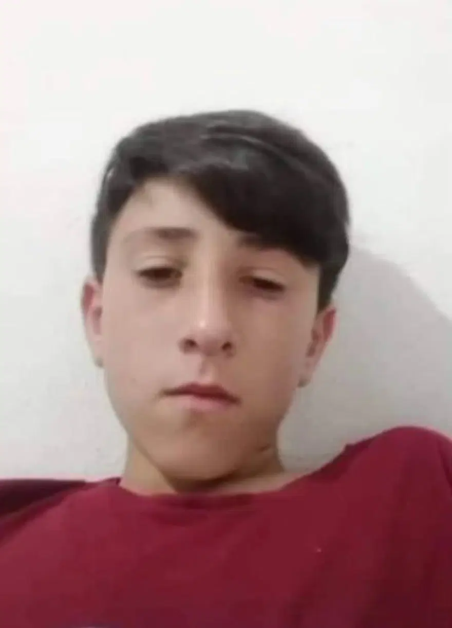 Traktör devrildi, Görkem ve Emirhan yaşamını yitirdi 1