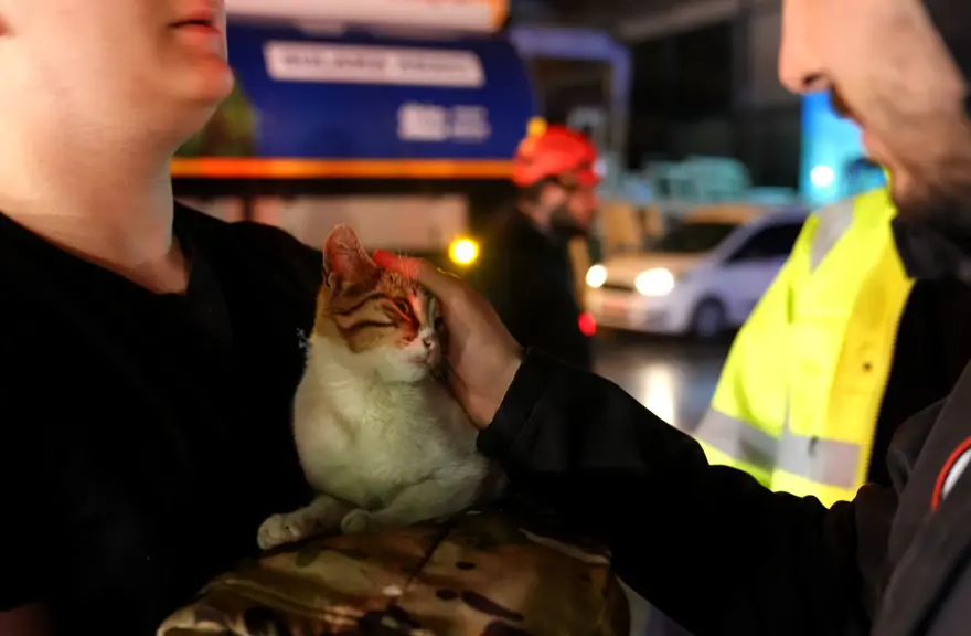 YANGIN YERİNDE BULUNAN KEDİ SAHİPLENİLDİ 5