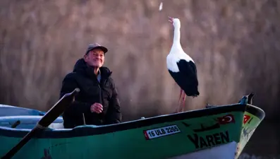 Avcılıktan yarenliğe: İnsanlar ve leyleklerin çalkantılı hikayesi