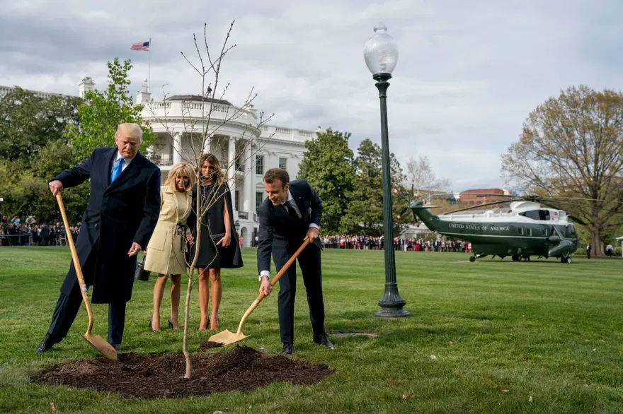 Trump ile Macron ağaç dikti 6