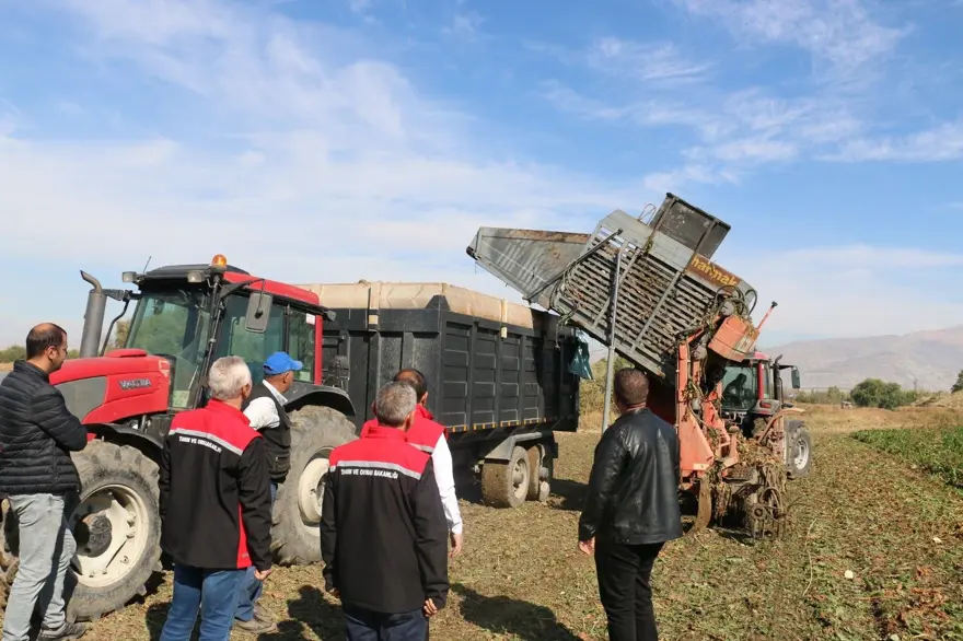 Hasat tüm hızıyla sürüyor: 1 milyar TL boyutunda ekonomik döngü ortaya koyuyor 2