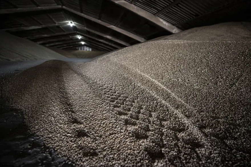 Tahıl gemilerinin limanlardan çıkışını bekleyen Ukraynalı çiftçilerden Türkiye'ye teşekkür 10